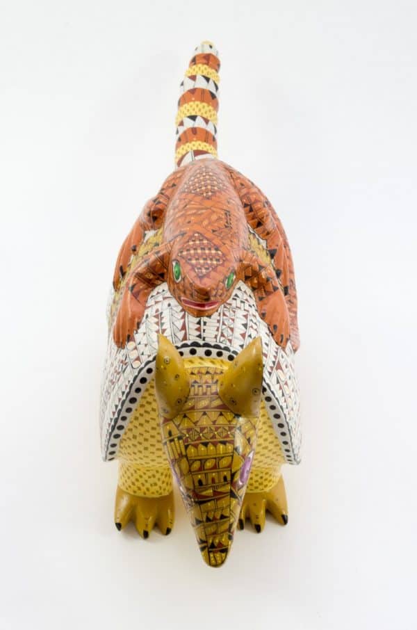 armadillo-iguana-2